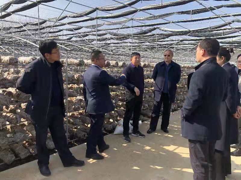 微信图片_20210305112815.jpg