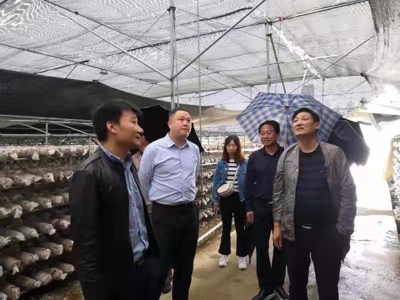 微信图片_20210602113943.jpg