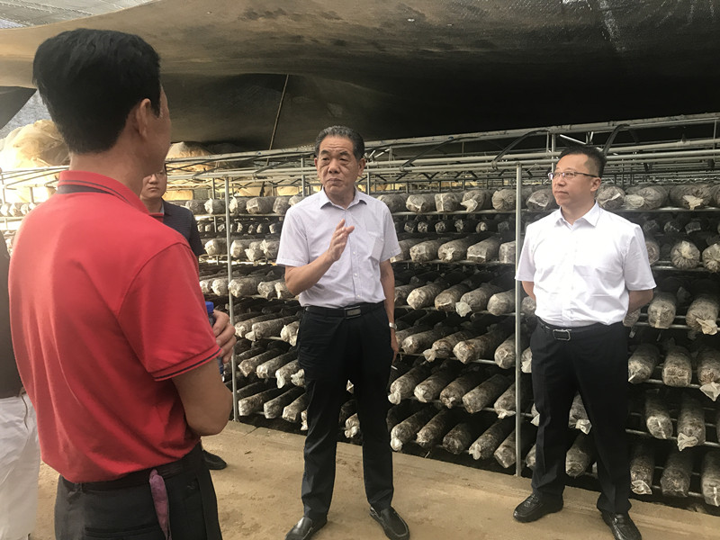 微信图片_20210622094619_副本.jpg