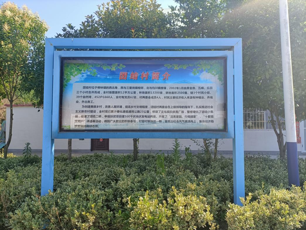 IMG20220615164732