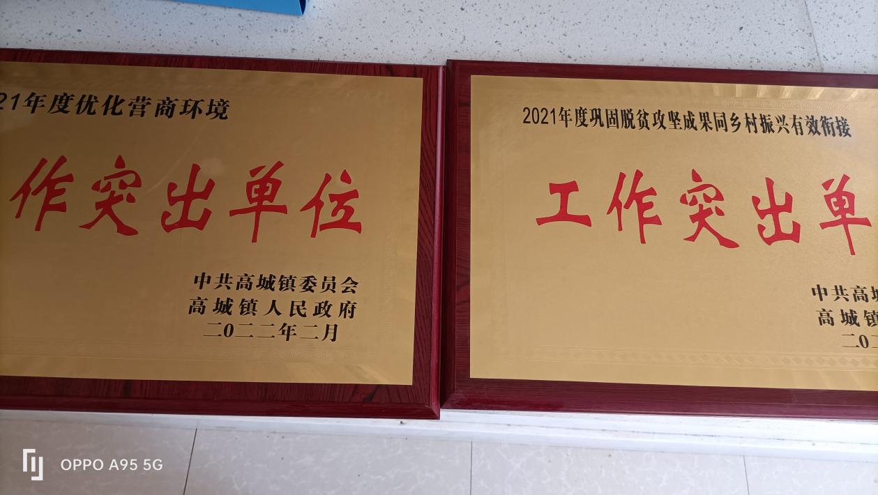 IMG20220718091539